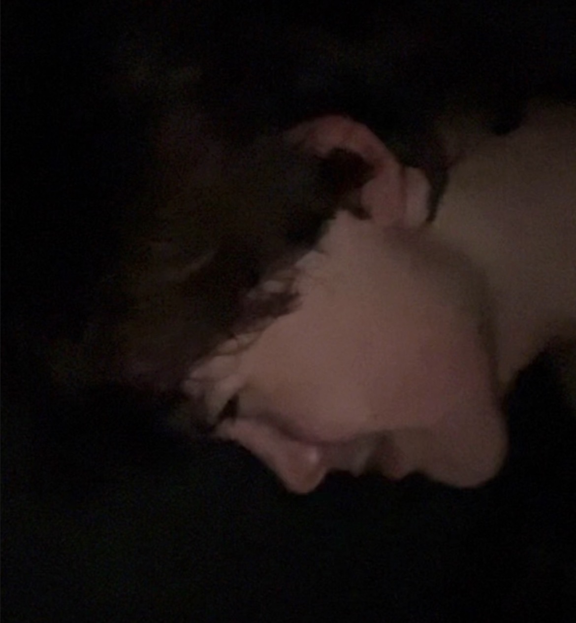 IMG 3490