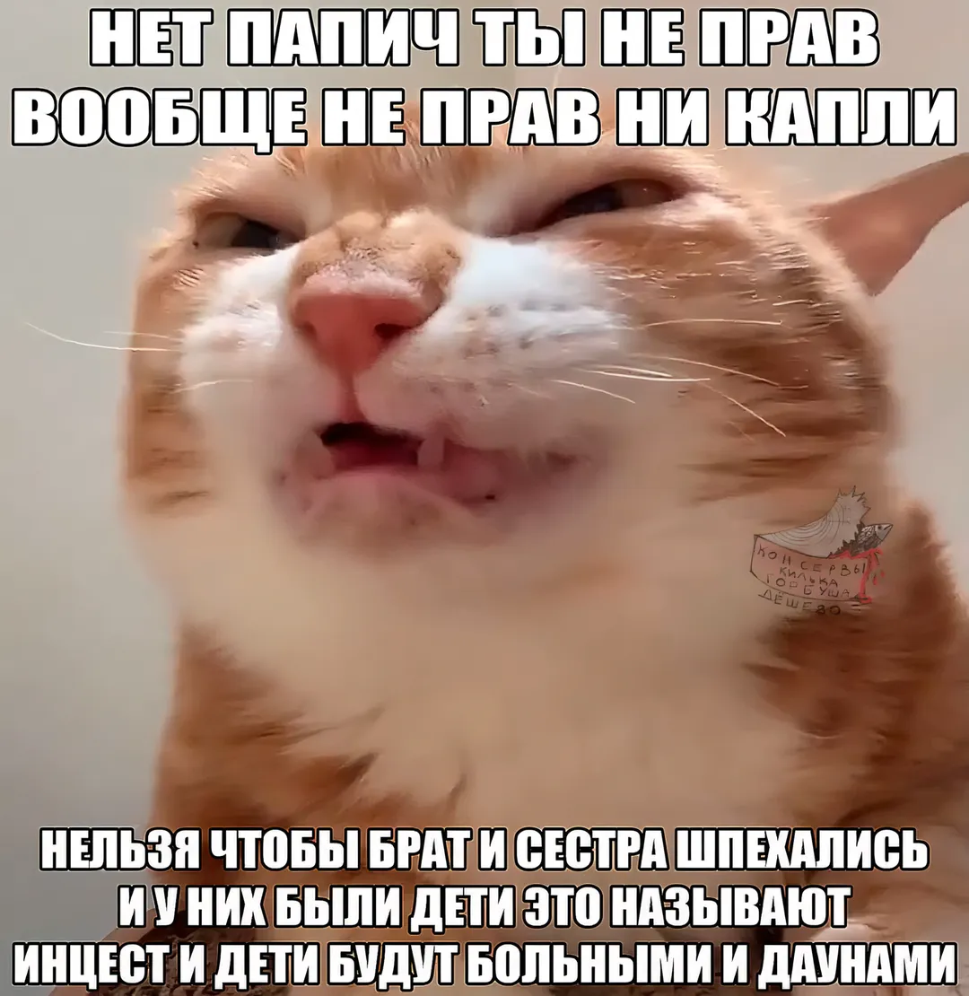 53ee73cf3c18607f5302b240d49dd57f