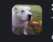 Screenshot 20260721 075448 Discord