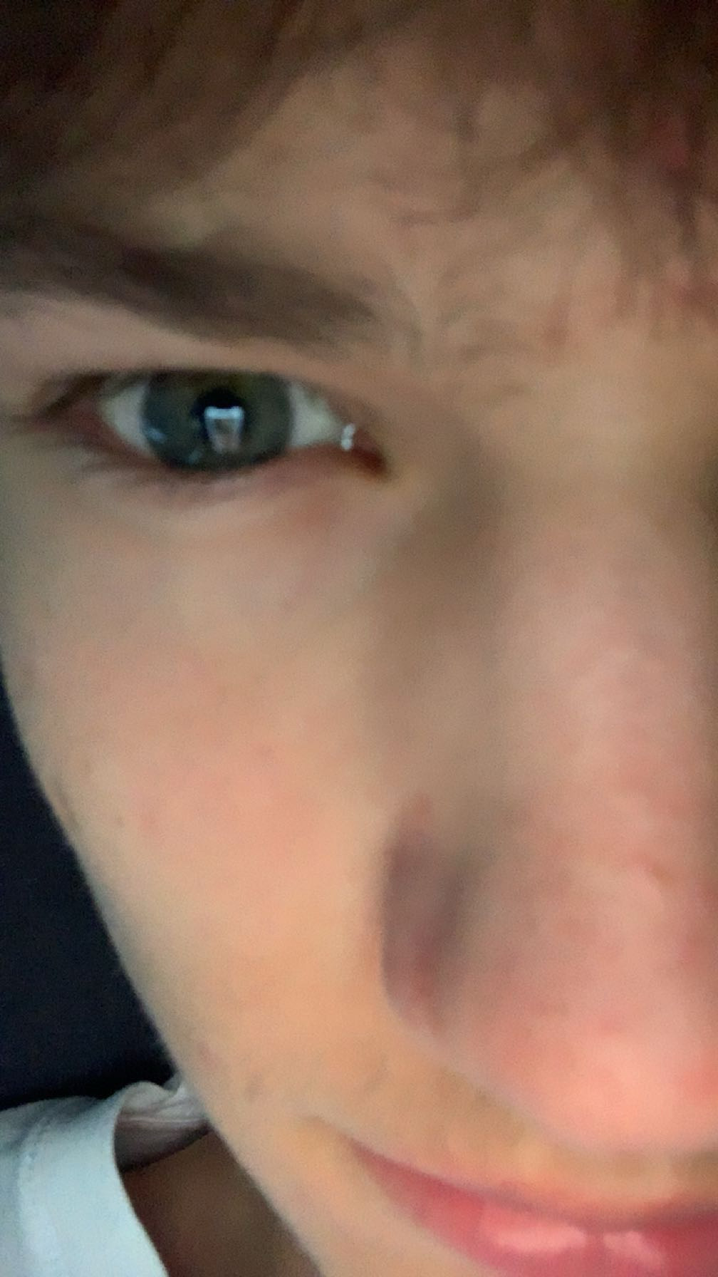 IMG 0365