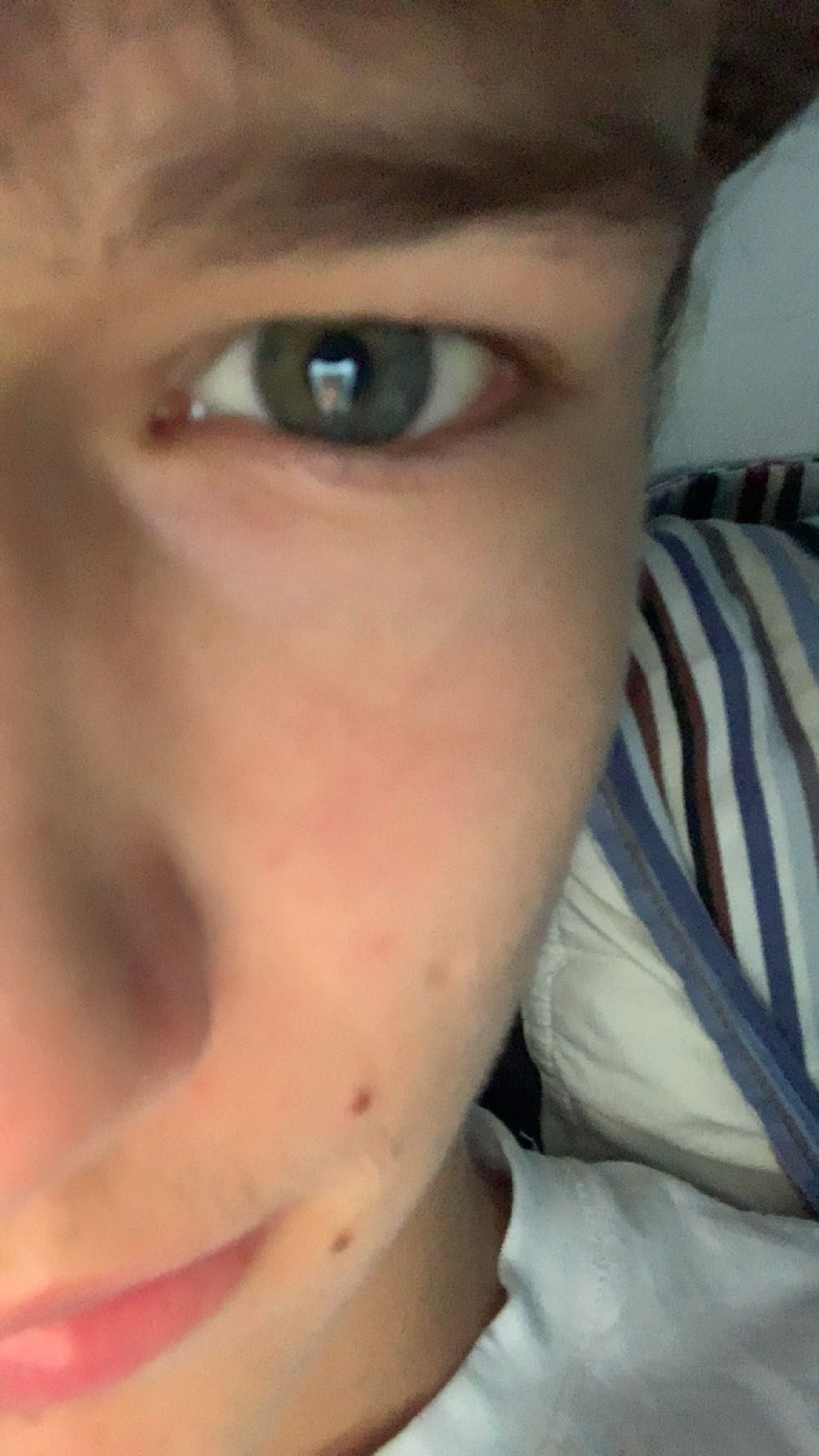 IMG 0366