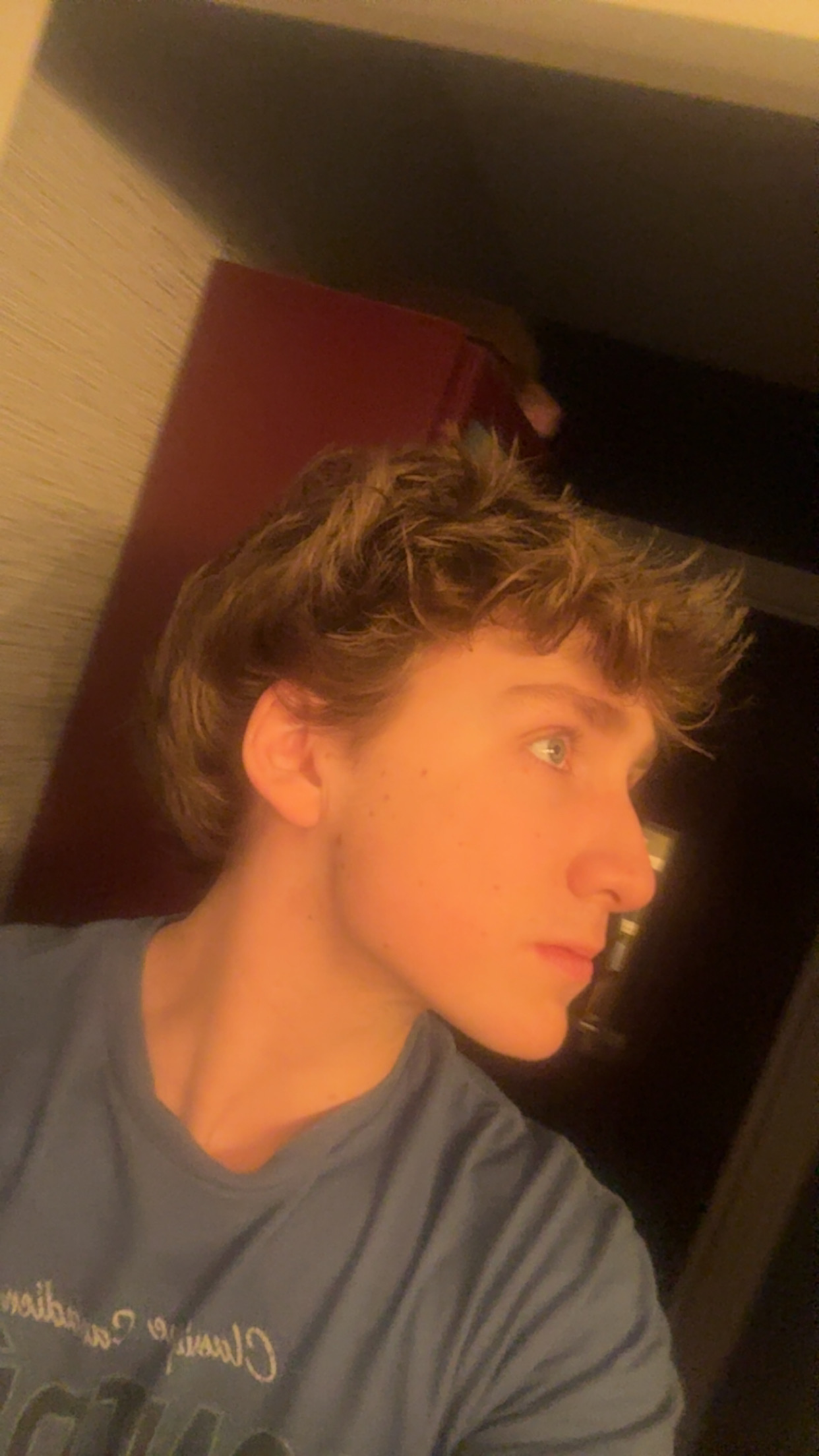 IMG 0381