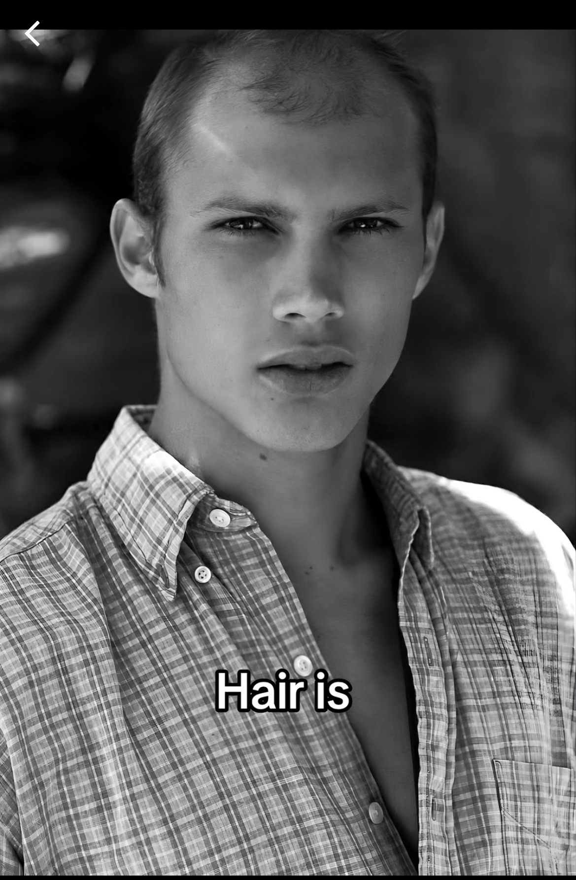 IMG 2554