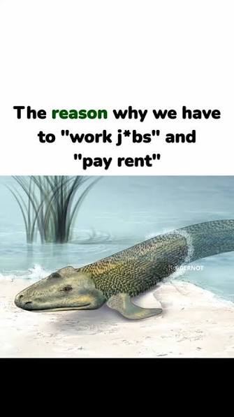 1784680039078
