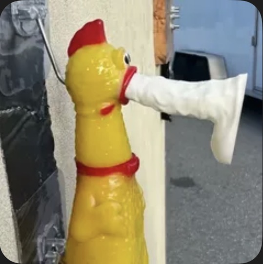 IMG 5170