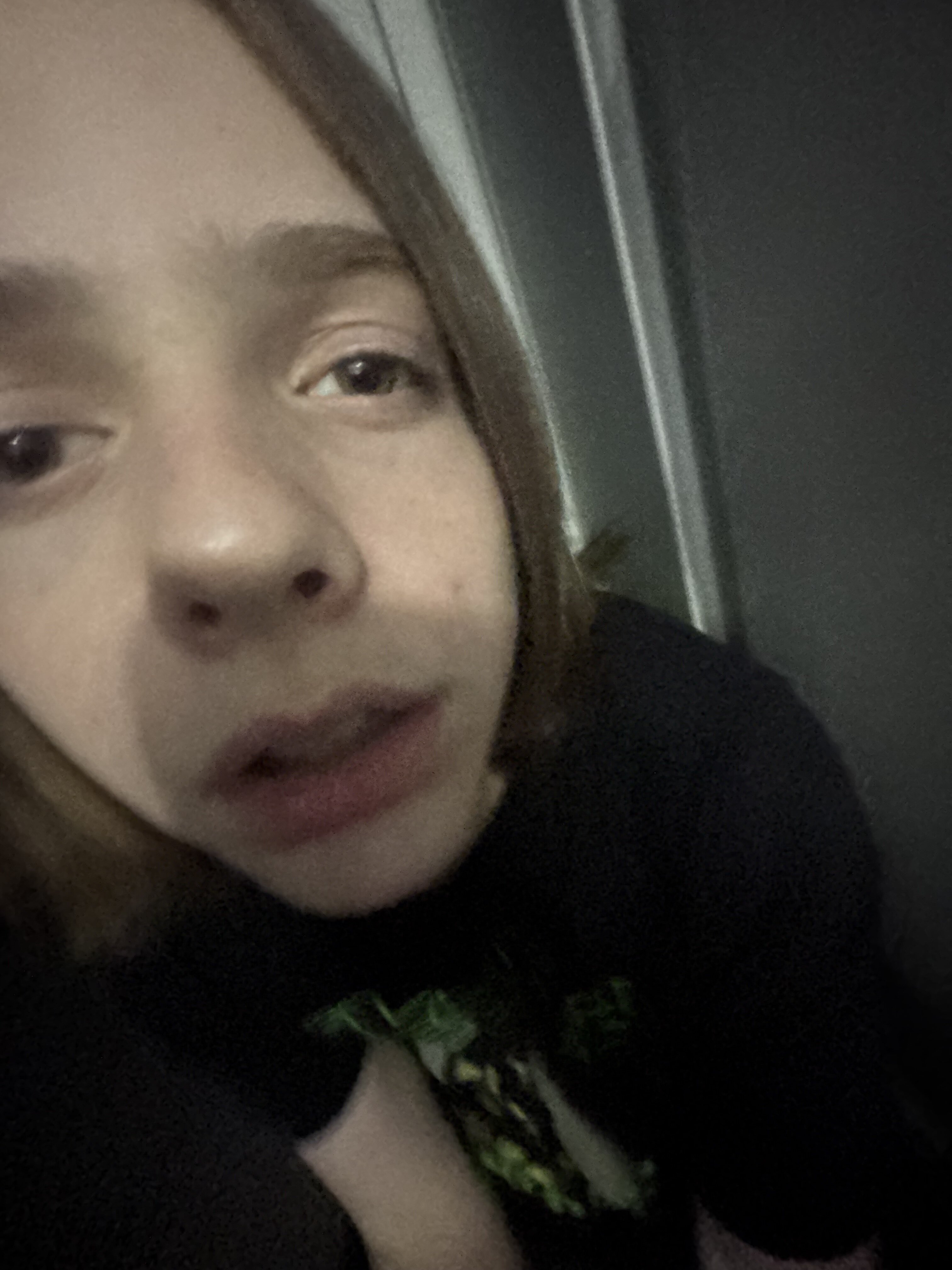 IMG 1505