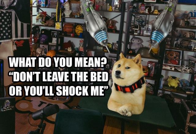 Le shock collar has arrived v0 ncwncn040ytf1