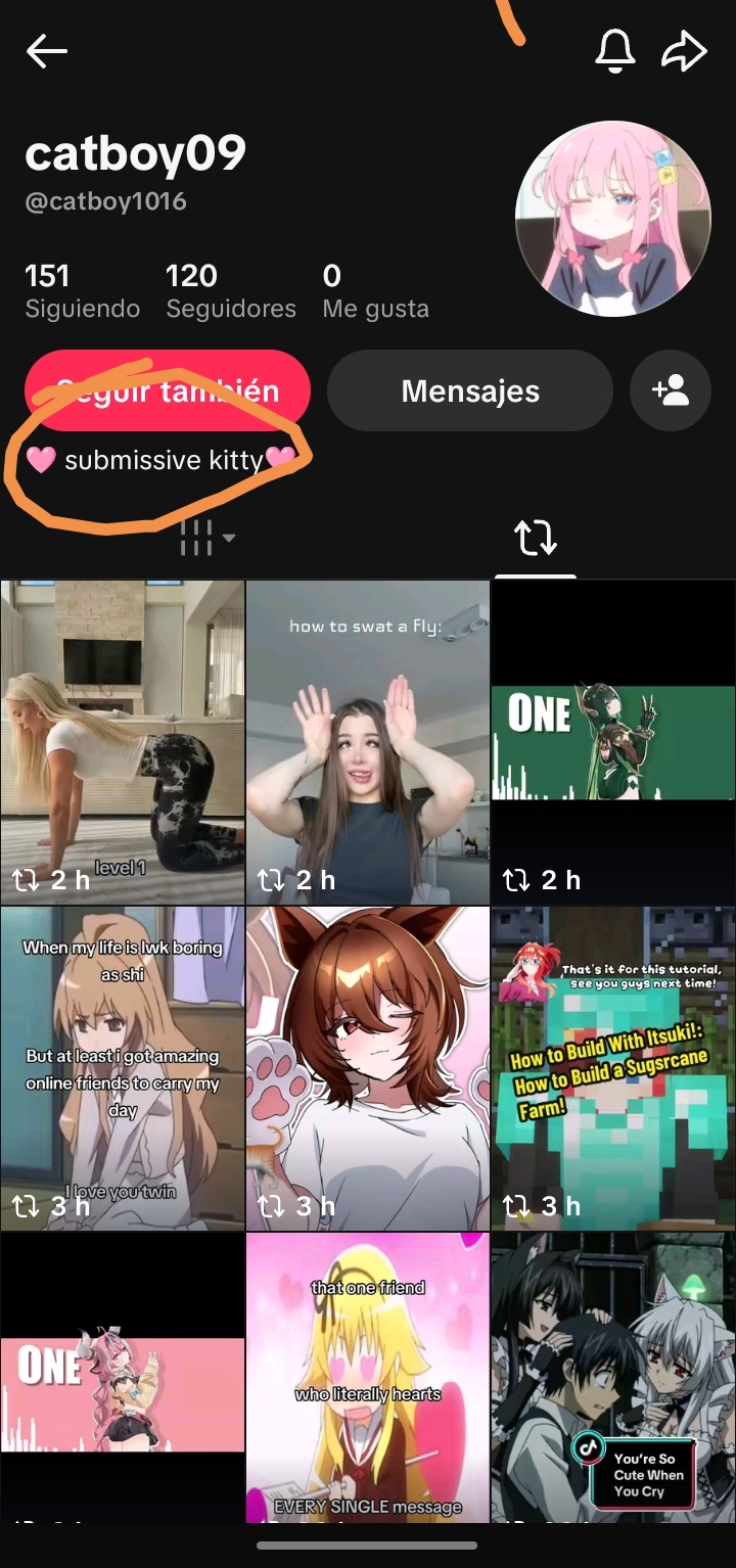 Screenshot 20260722 122317 com zhiliaoapp musically TikTokHostActivity