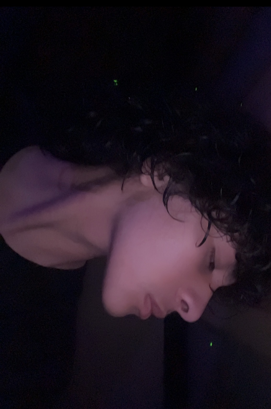 IMG 0731