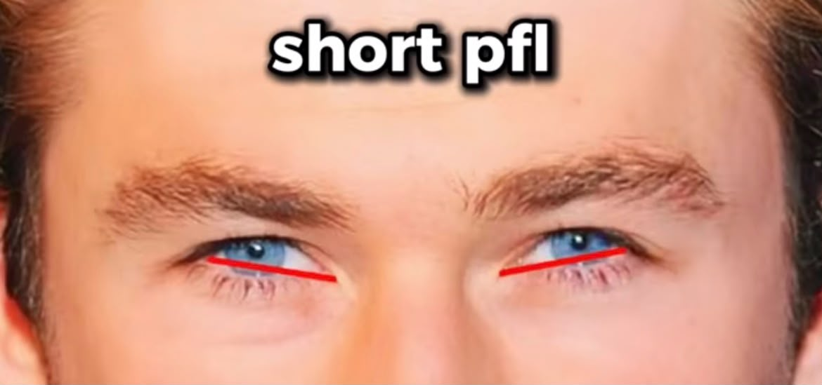 1784796297951