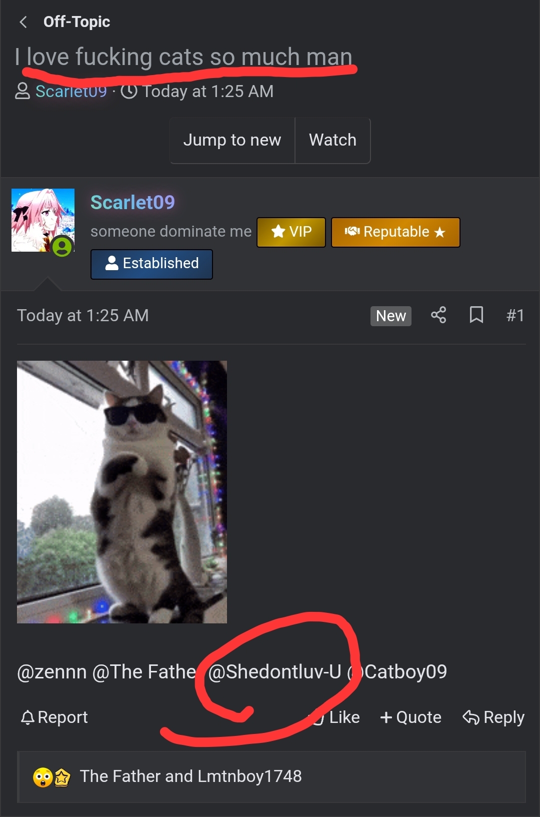 Screenshot 20260723 023846 Chrome