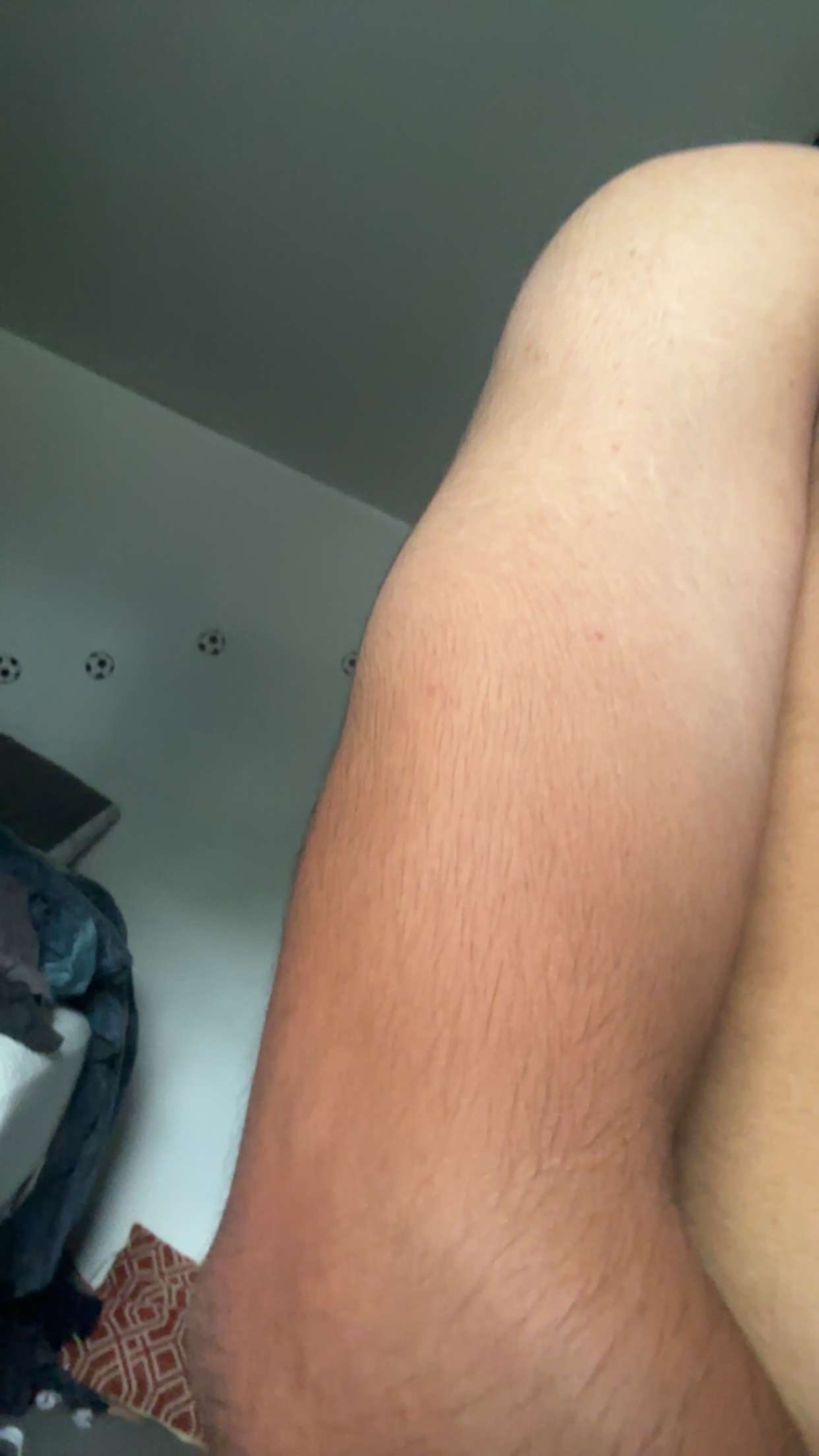 IMG 0170