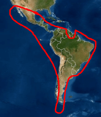 1784852726523