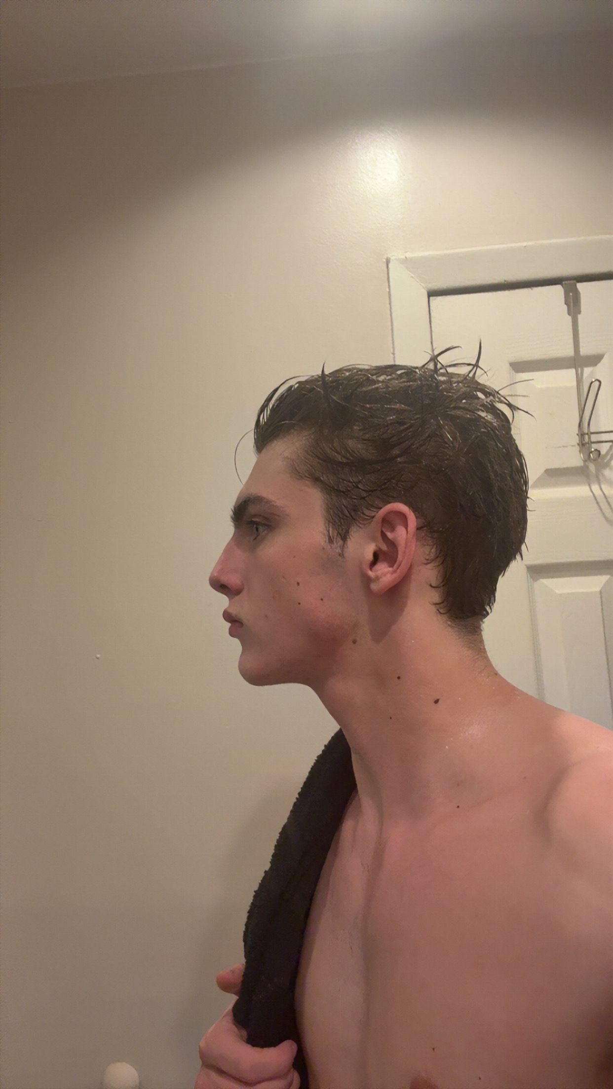IMG 0352