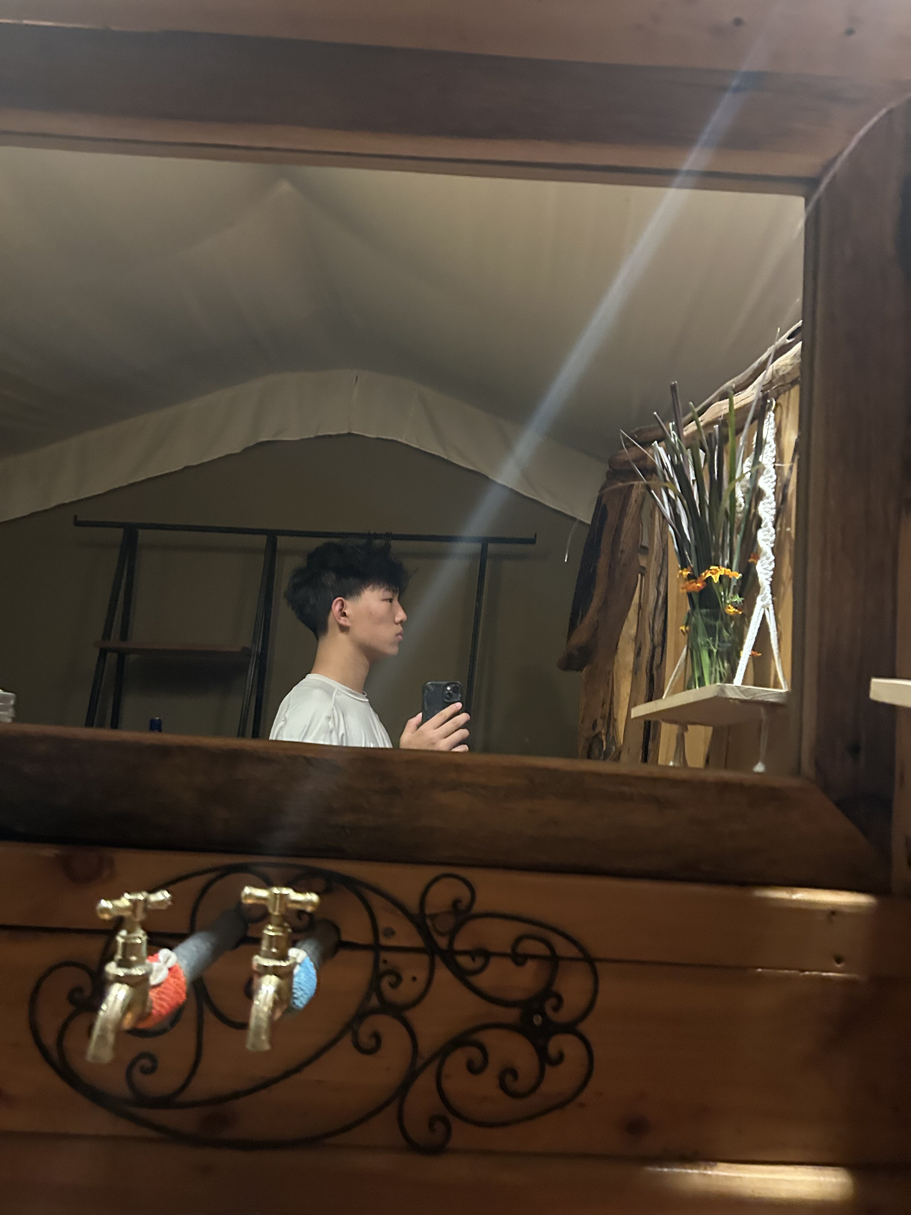 IMG 0869