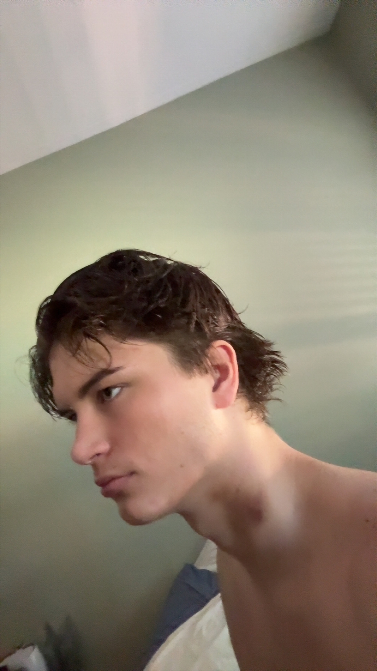 IMG 0868