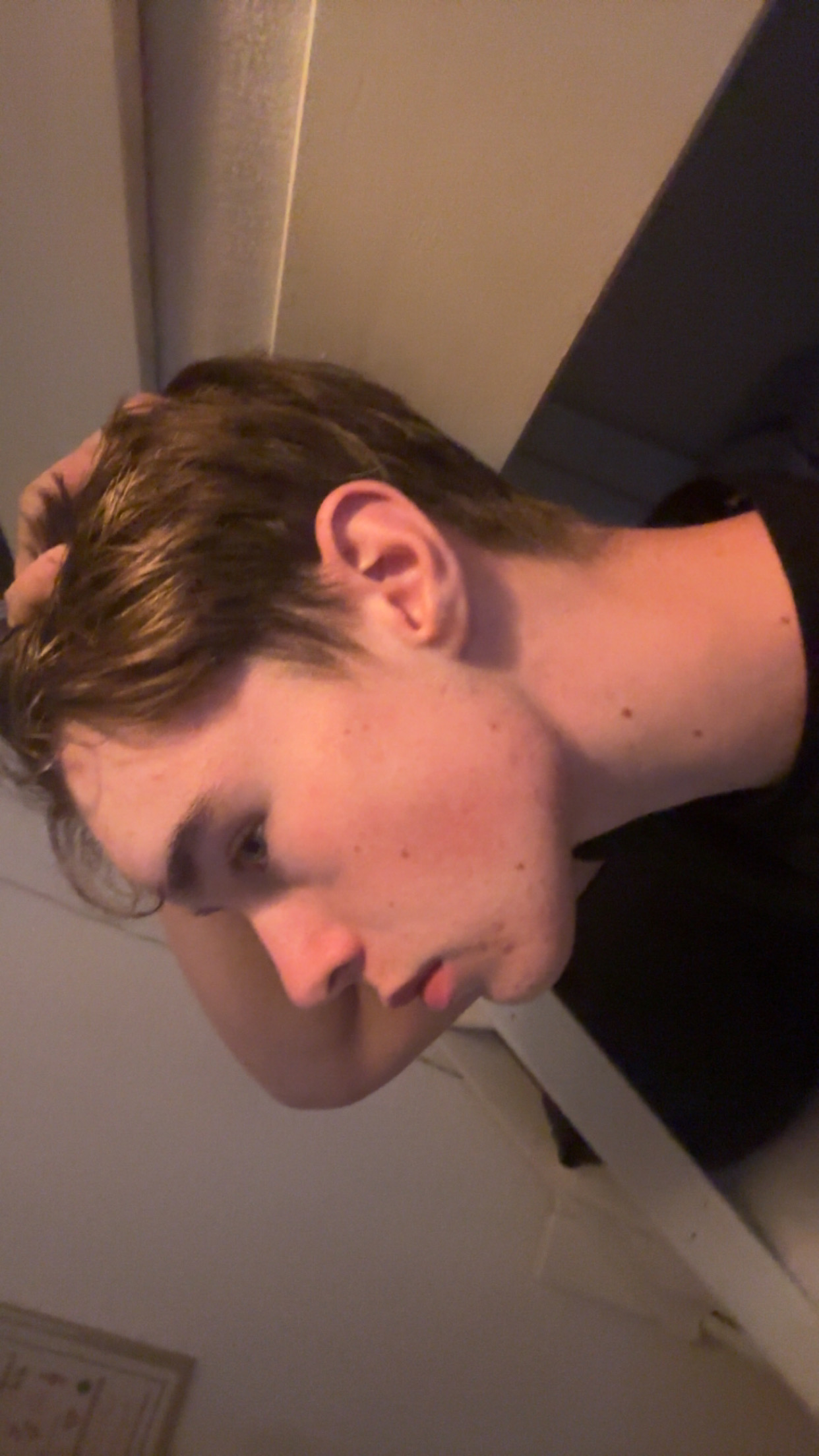 IMG 2110