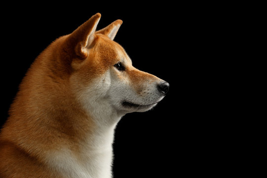 360 F 115842281 I01Nc4CK16wPnqtSYbR7g69HBP9dJkpR