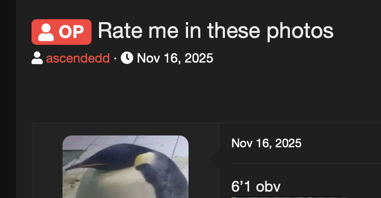 1785005916535