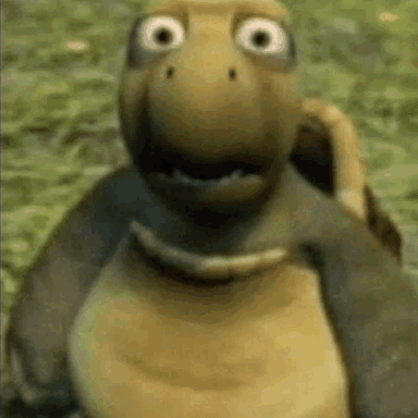1785009690205