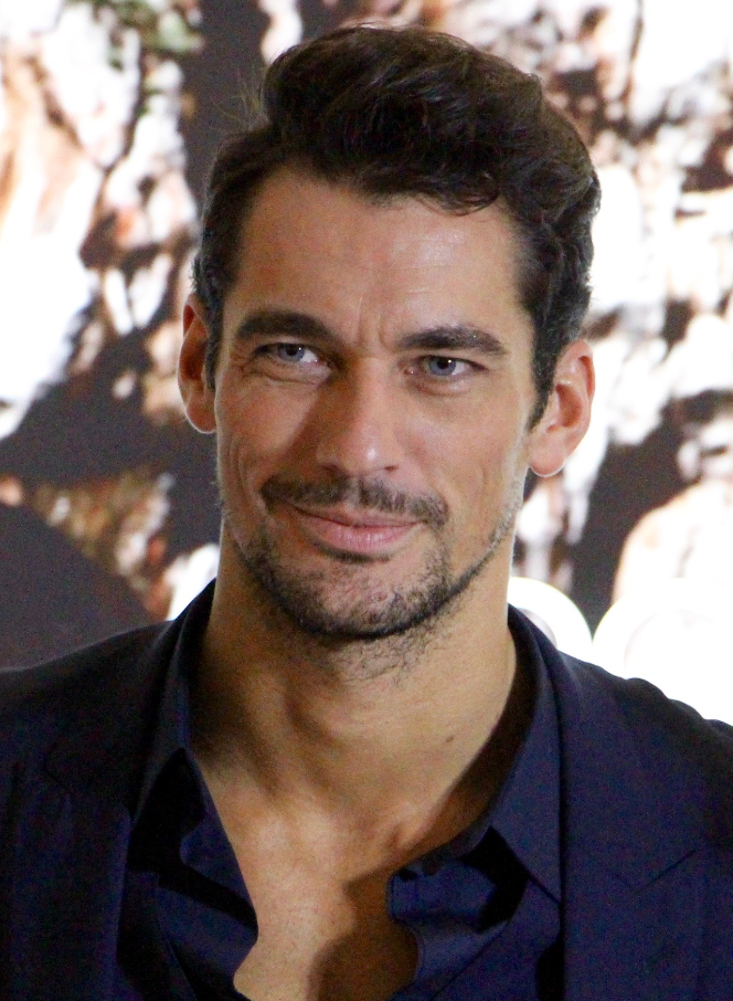 Gandy