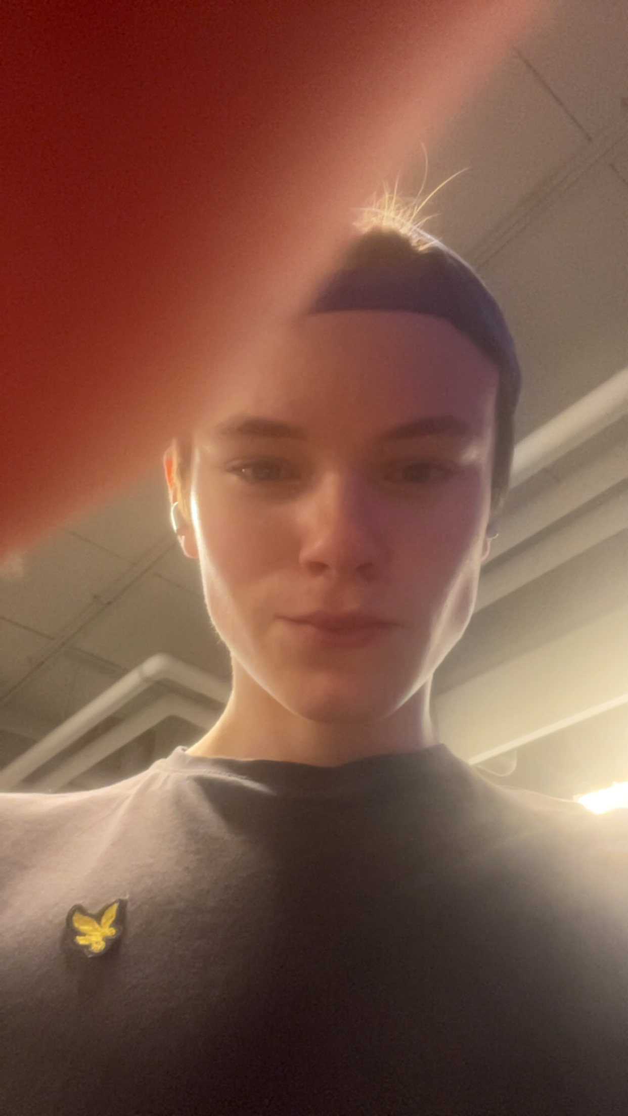 IMG 0739