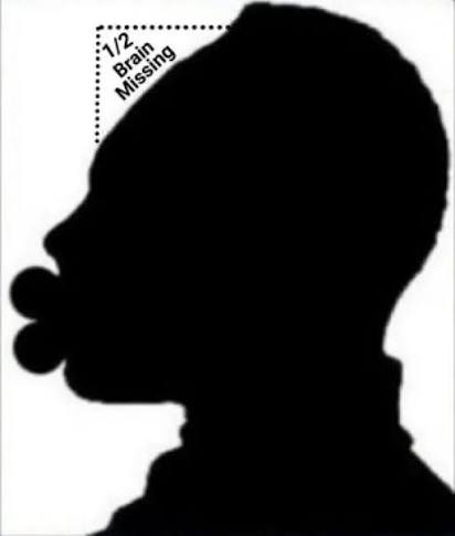 1785123608544