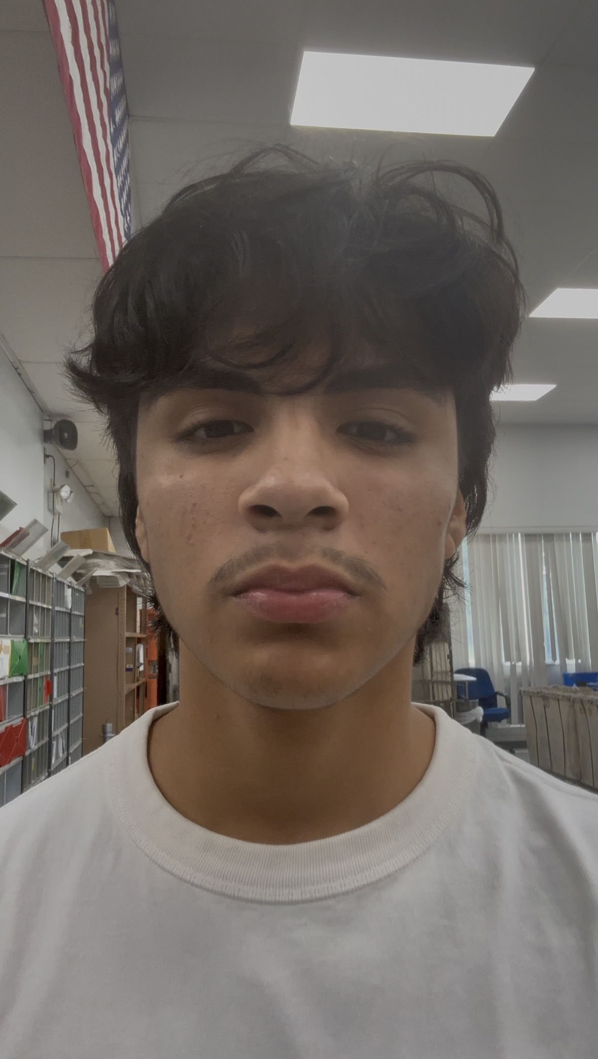 IMG 2749