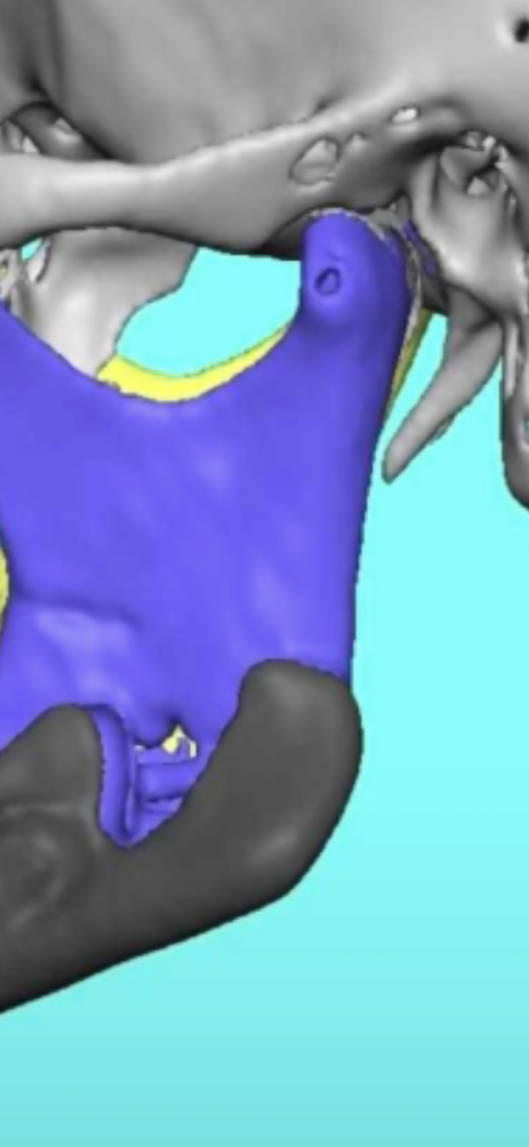 Screenshot 20260727 131307 Gallery