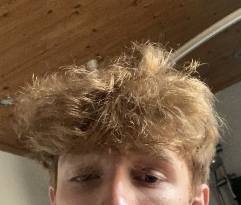 IMG 0282