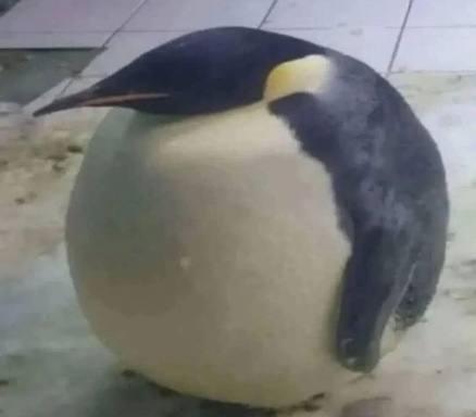 1785176856023