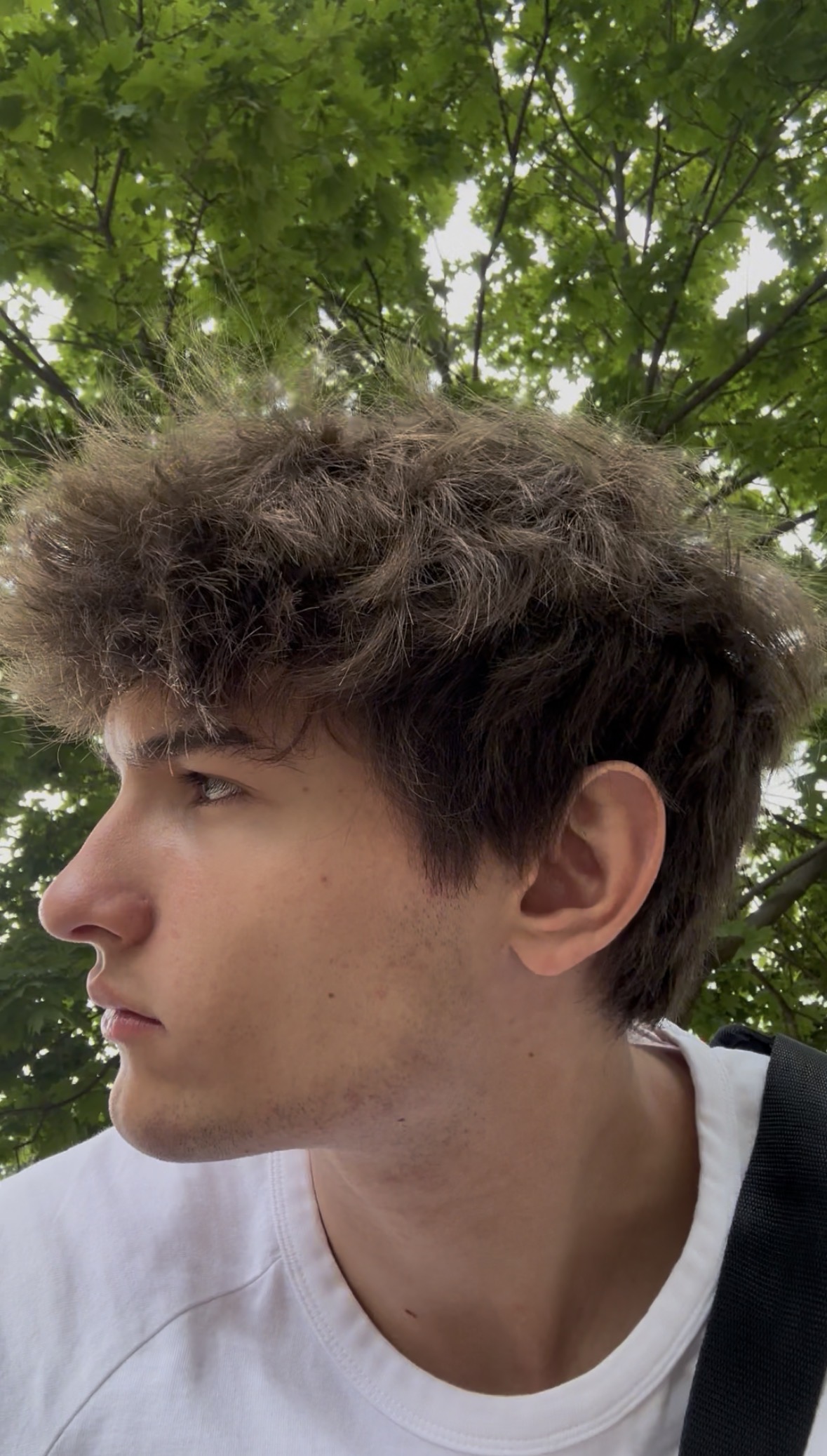 IMG 3153