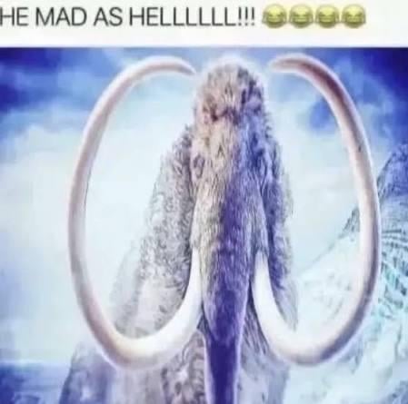 1000070155