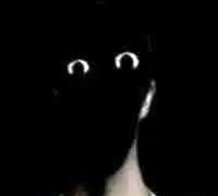 IMG 1954