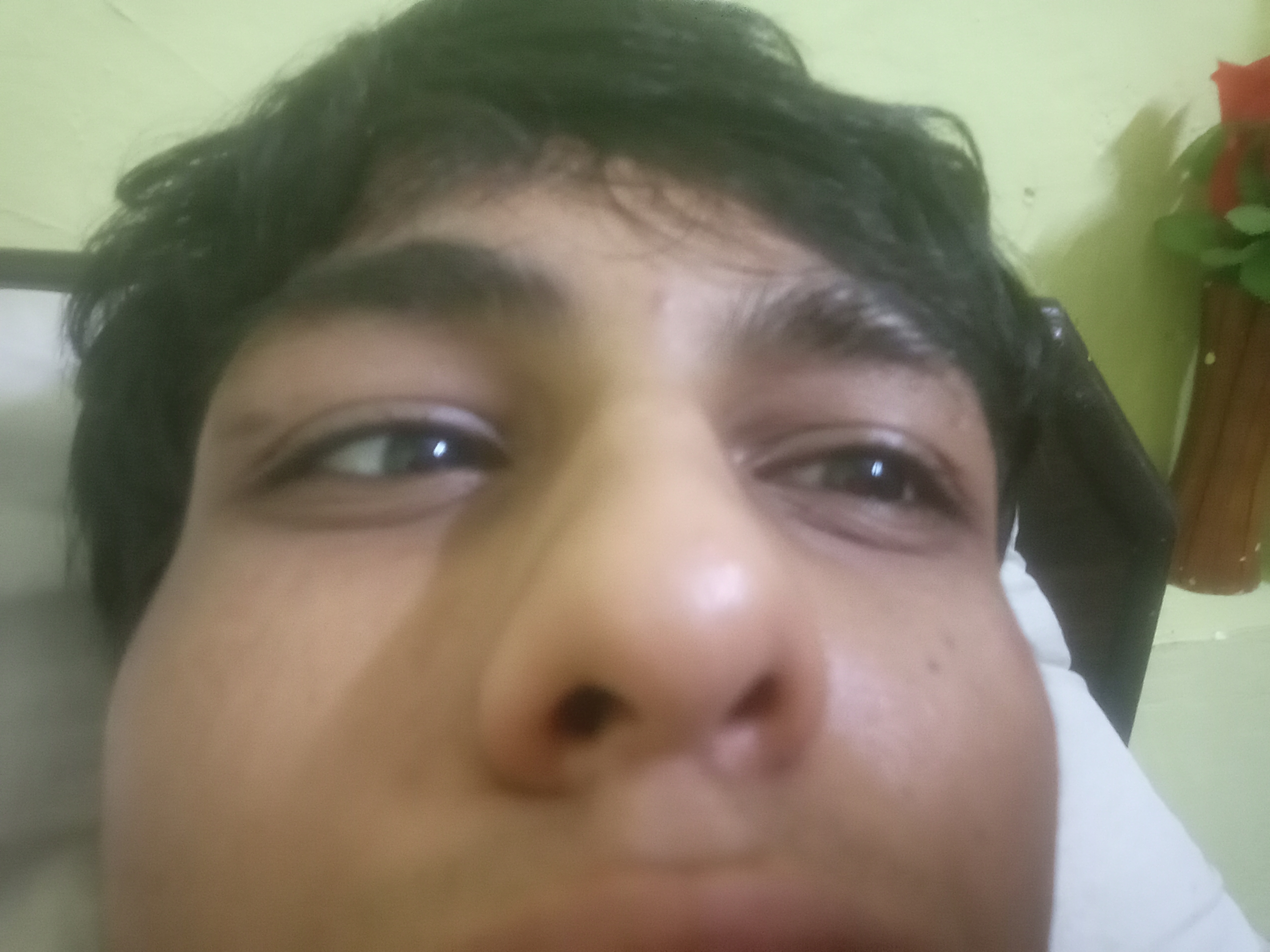 IMG 20260728 210950