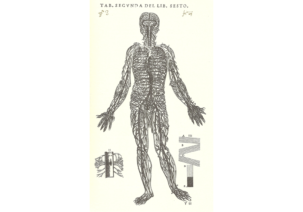51 Ha C Cuerpo Humano Valverde Amusco Salamanca Lafreri Incunables Libros Antiguos libro facsi