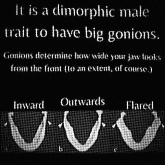 1785293321949