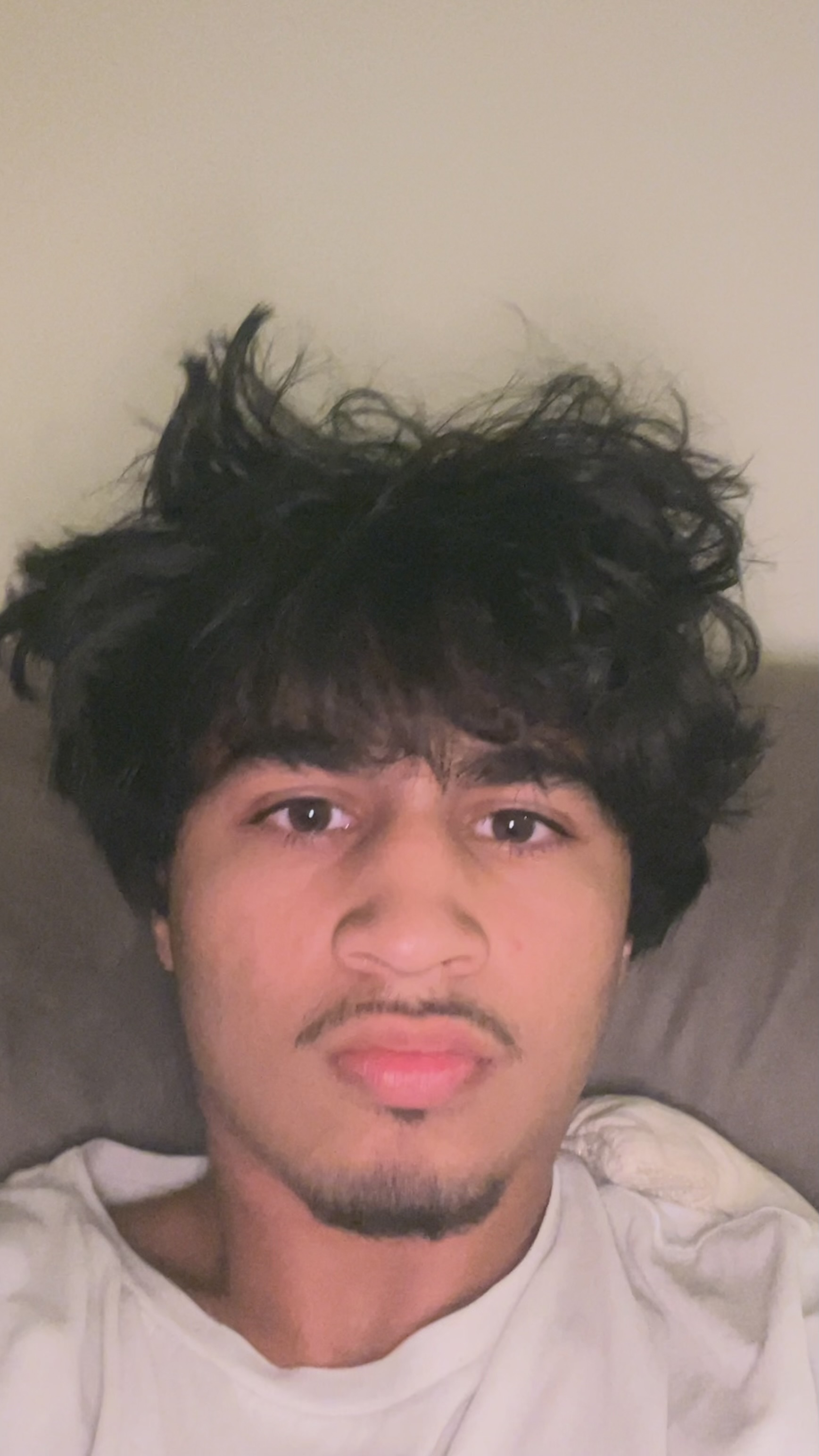 IMG 3974