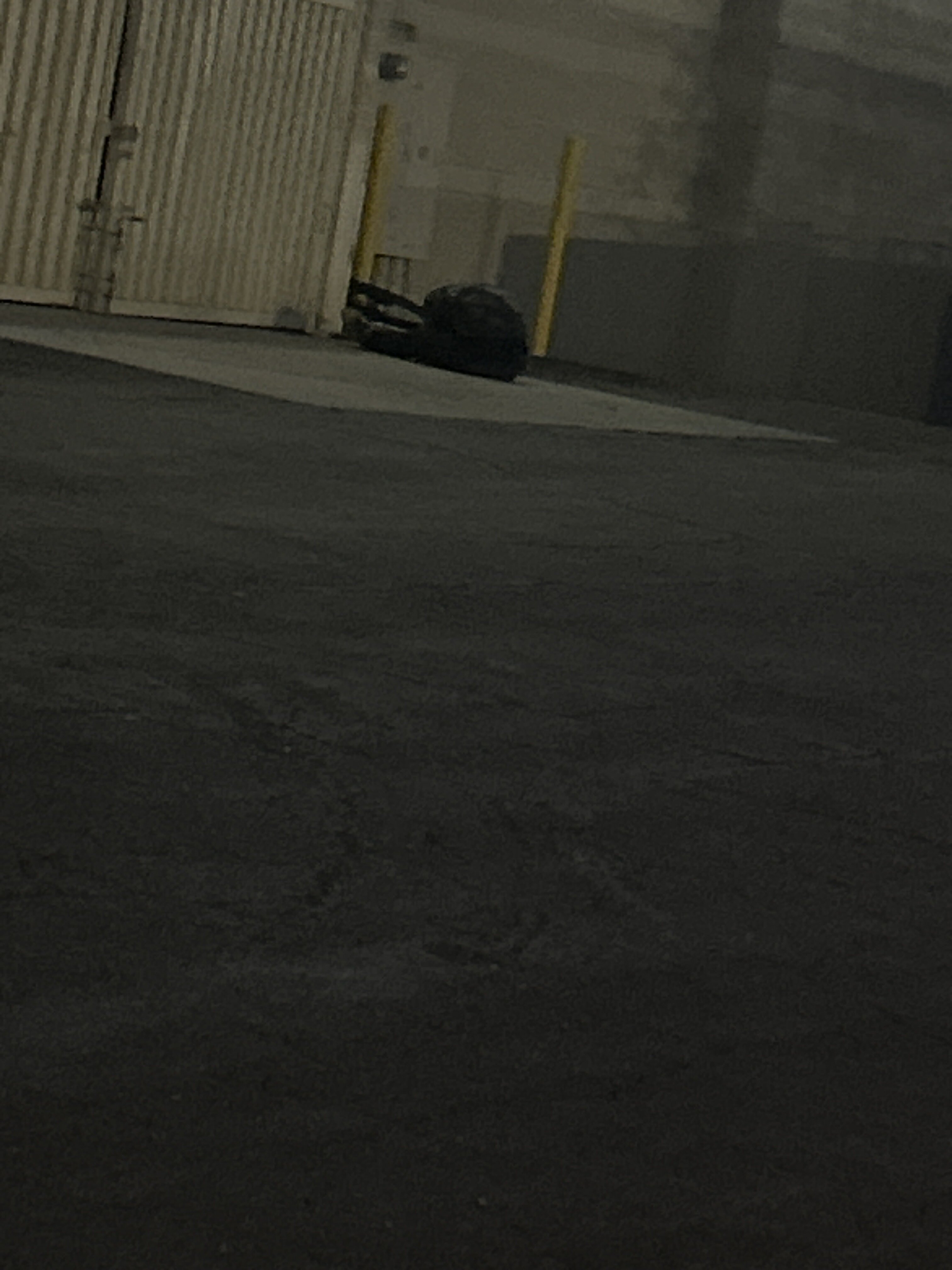 IMG 1287