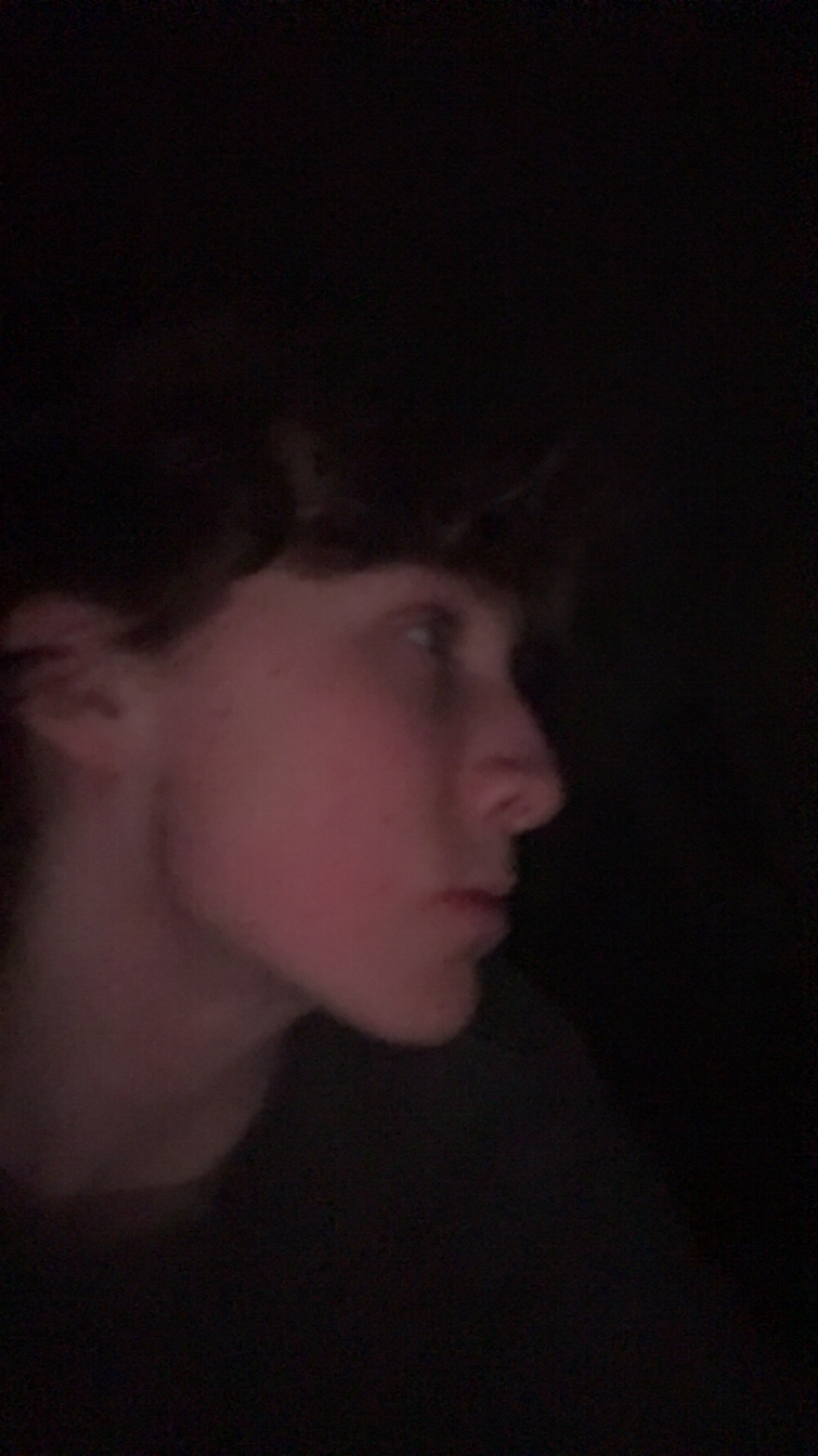 IMG 1933
