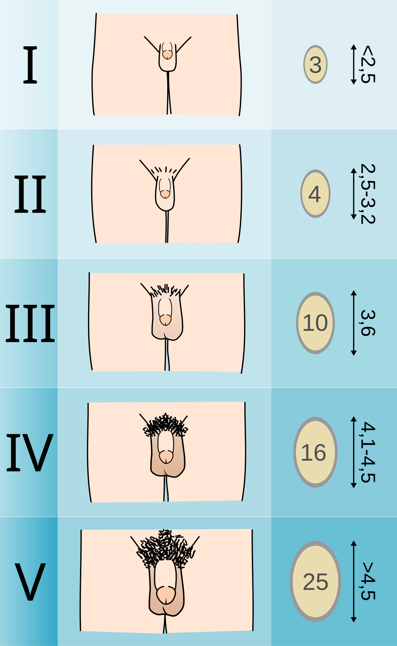 1785322128976