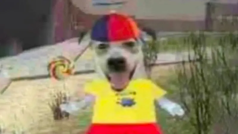 1785322712230