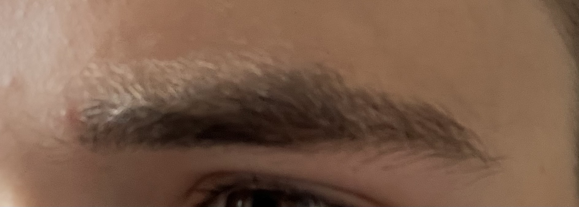 IMG 0039