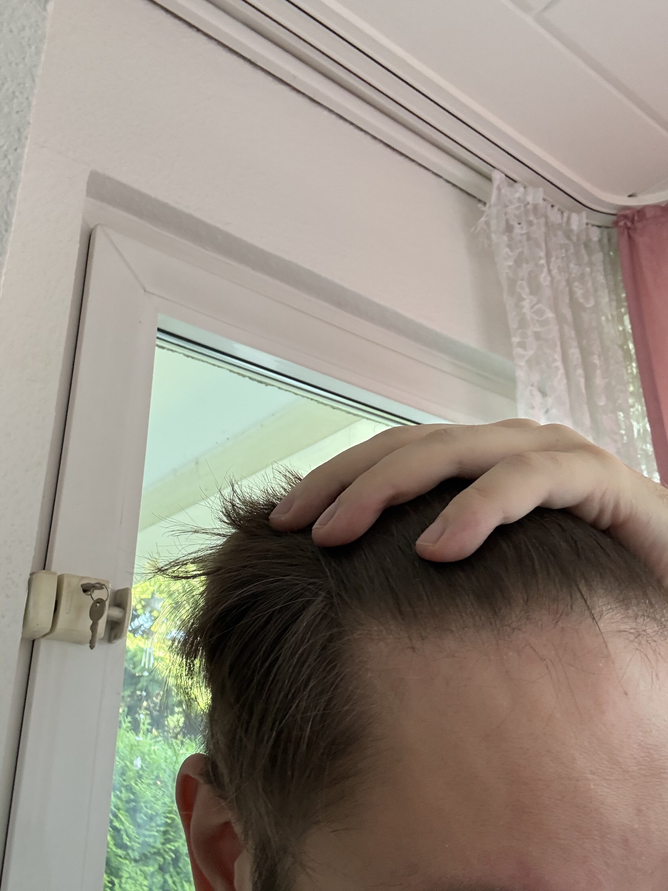 IMG 0297