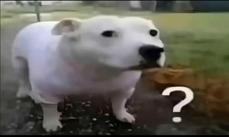 1785355507883