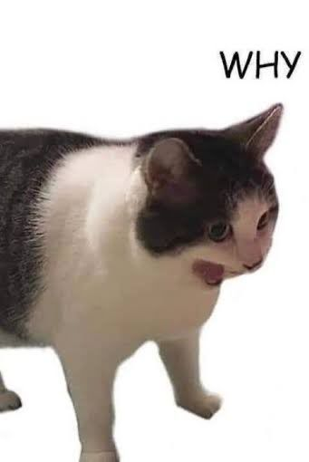 1785355568094