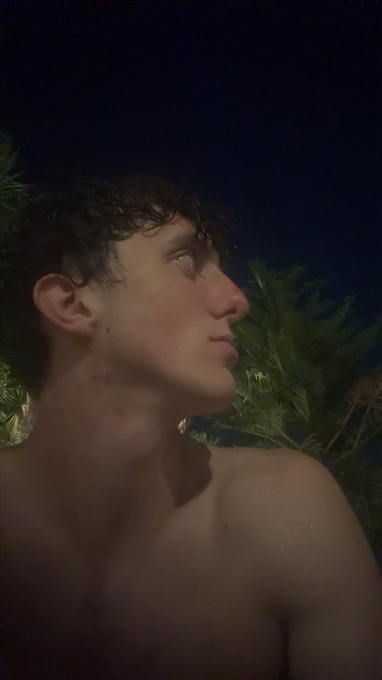IMG 1342