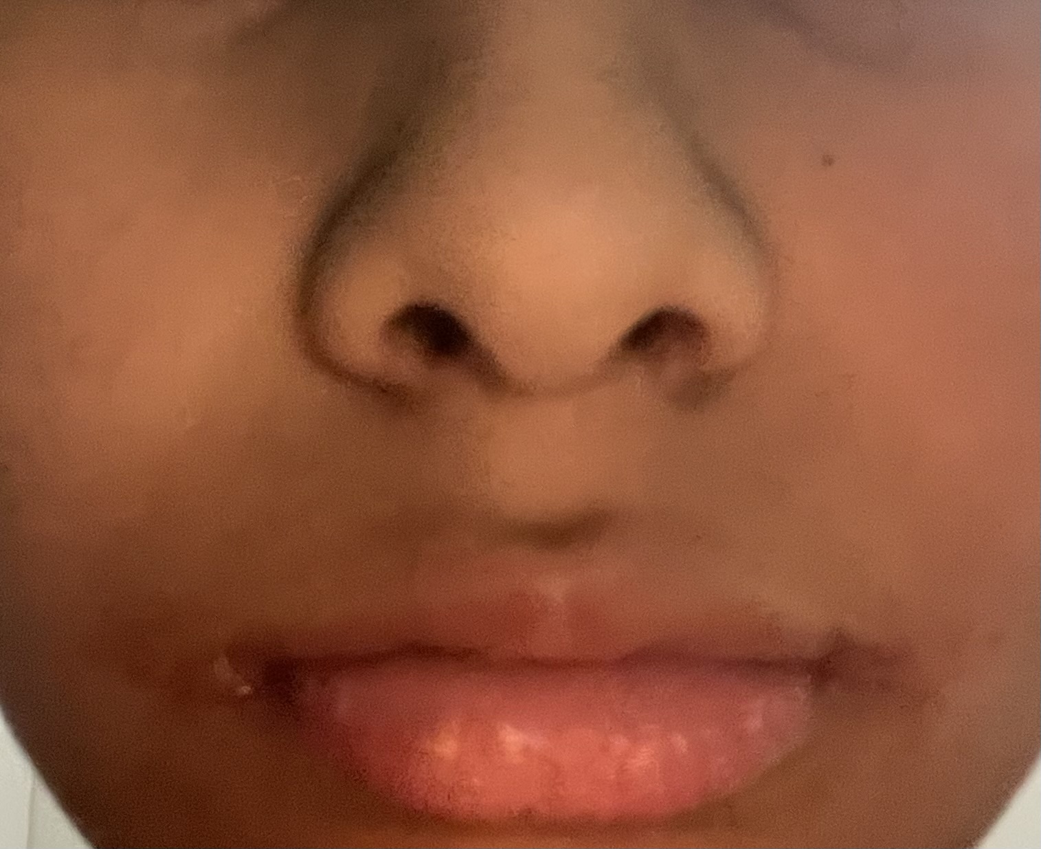 IMG 2831