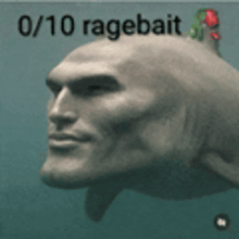1785376934517