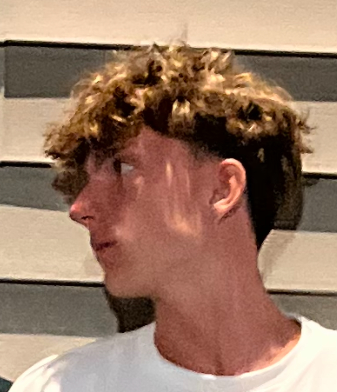 IMG 2930